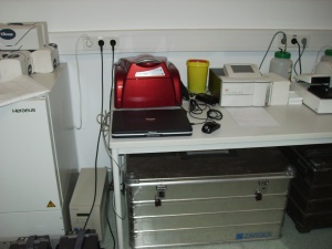 Abb. 8: Realtime-PCR zur Influenzadiagnostik inMasar-e-Sharif 2009
