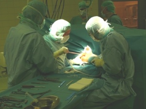 Abb. 1: Offen chirurgische Versorgung über dorso-lateralen Zugang cubital