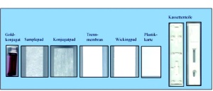Abb 4: Darstellung der Einzelkomponenten des immunochromatographischen Schnelltests (ICT).