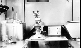 Abb 6: Blick in den Laborteil des EFL-F: links bakteriologischer Arbeitsplatz, Mitte: Fluoreszenzmikroskop Laboval (10). 