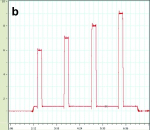 Abb. 3: Beschleunigungsprofile der Studie; X-Achse: Dauer des Zentrifugenlaufs in Minuten, Y-Achse: Beschleunigung in Richtung der Körperlängsachse in Vielfachen der Erdbeschleunigung g. 
a.: Eingewöhnungslauf mit anschließendem Linearprofil 
b.: Stufenprofil 
c.: Flugprofil