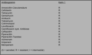 Abb.10: Resistogramm Acinetobacter Baumanii
