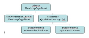 Abb. 1: Organigramm Pflegedienstleitung BwKrhs Ulm