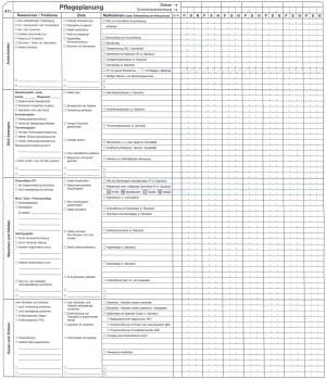Abb. 3: Pflegeplanungskurve (Seite1 von 2) vom Bundeswehrkrankenhaus Ulm
