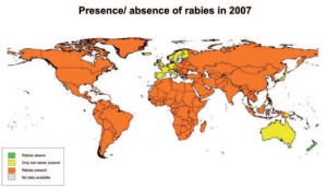 Abb 1: Weltweite Verbreitung der Tollwutviren (WHO 2007)