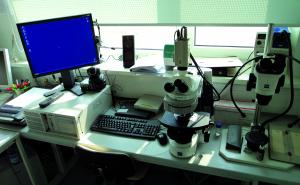 Telemikrobiologie als Teil eines modernen, lageangepassten -Betriebskonzepts der Mikrobiologie im Einsatz