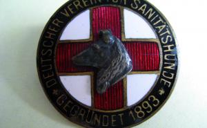 „Such verwundt!“ – Das Sanitätshundewesen in Deutschland bis 1918