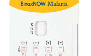 Intensivmedizinische Therapie bei komplizierter Malaria tropica-Infektion