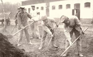 Historische Betrachtungen zur Versorgung von  Kriegsversehrten am Beispiel des Ersten Weltkrieges
