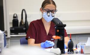Gemeinsam in die Zukunft: Ivoclar erweitert das Fortbildungsangebot für Studierende der Zahnmedizin weltweit