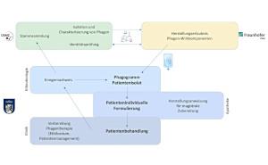 Praktikabilitätstestung der Bakteriophagentherapie am Bundeswehrkrankenhaus Berlin