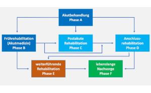 Moderne Rehabilitation Schwerverletzter im zivilmilitärischen Kontext