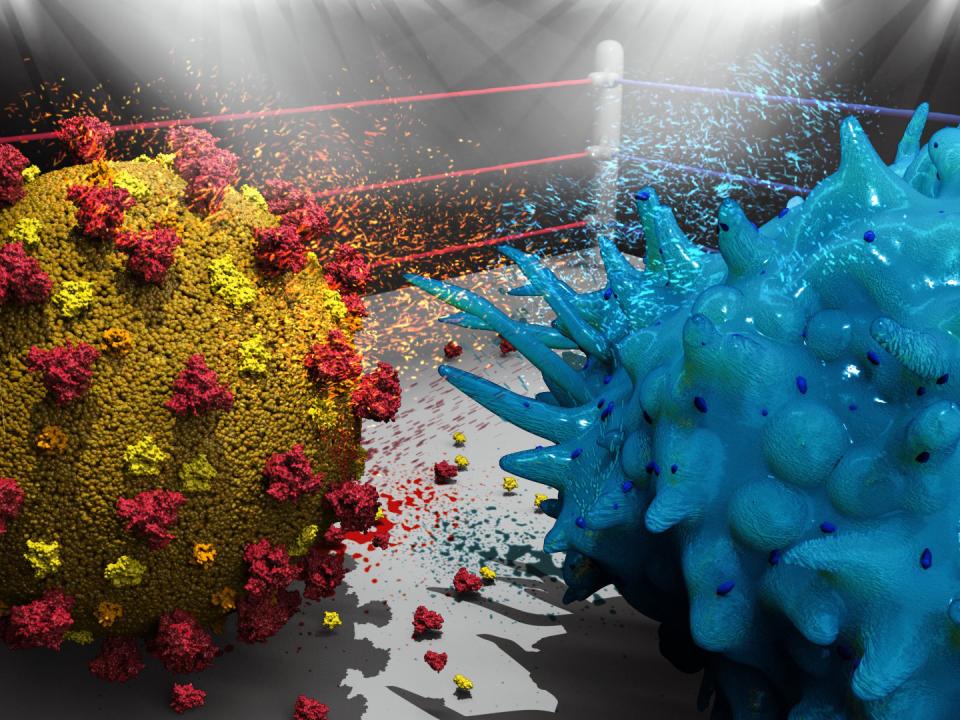 Künstlerische 3D-Darstellung einer T-Killerzelle, die mit SARS-CoV-2 kämpft