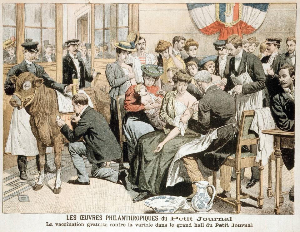 Zeitgenössische Darstellung von Impfungen gegen Pocken (1905)